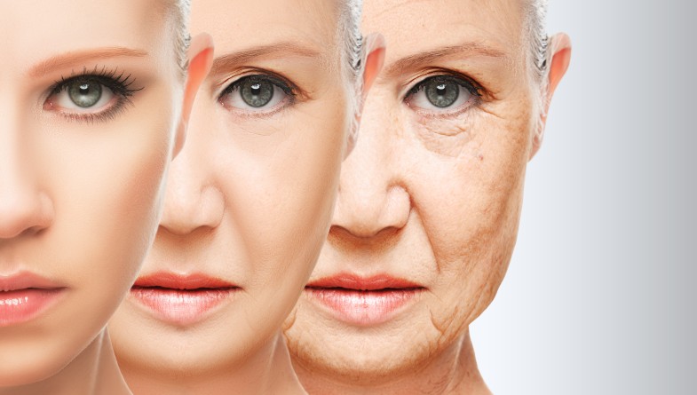 menopausia-capsula-elipse menopausia-capsula-elipse